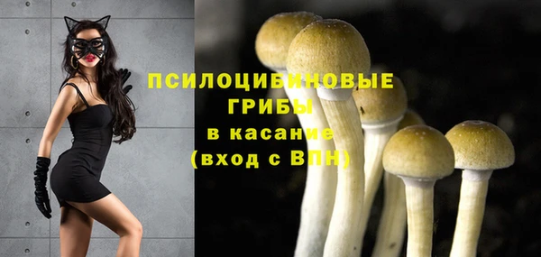 индика Нея