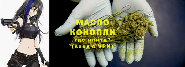 индика Нея