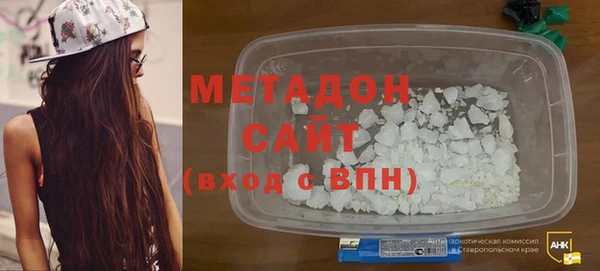 индика Нея