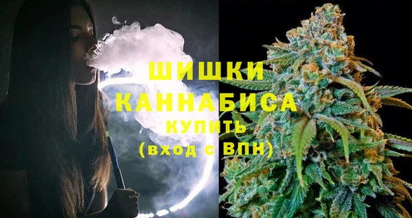 индика Нея