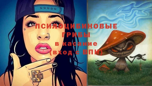 индика Нея
