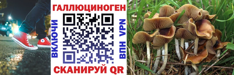 Галлюциногенные грибы мухоморы Ковылкино